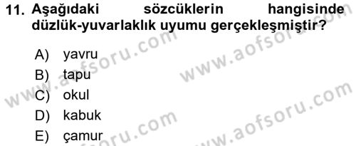 Türkçe Ses Bilgisi Dersi Ara Sınavı Deneme Sınav Soruları 11. Soru