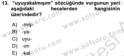 Türkçe Ses Bilgisi Dersi 2017 - 2018 Yılı (Vize) Ara Sınav Soruları 13. Soru