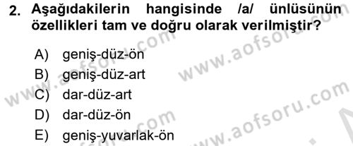 Türkçe Ses Bilgisi Dersi Ara Sınavı Deneme Sınav Soruları 2. Soru