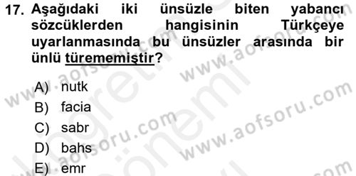 Türkçe Ses Bilgisi Dersi 2017 - 2018 Yılı (Final) Dönem Sonu Sınav Soruları 17. Soru