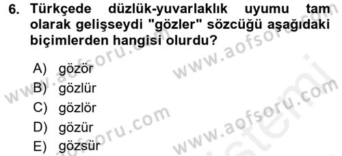 Türkçe Ses Bilgisi Dersi 2017 - 2018 Yılı (Final) Dönem Sonu Sınav Soruları 6. Soru