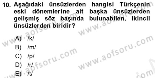 Türkçe Ses Bilgisi Dersi 2018 - 2019 Yılı (Vize) Ara Sınavı 10. Soru