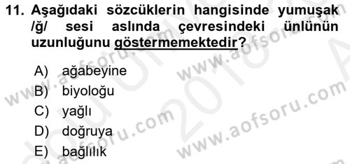 Türkçe Ses Bilgisi Dersi 2018 - 2019 Yılı (Vize) Ara Sınavı 11. Soru