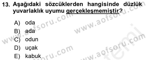 Türkçe Ses Bilgisi Dersi 2018 - 2019 Yılı (Vize) Ara Sınavı 13. Soru