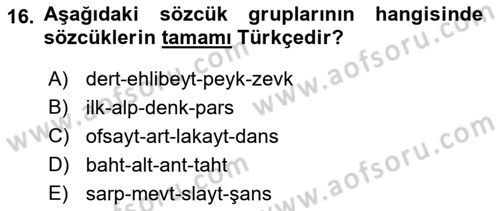 Türkçe Ses Bilgisi Dersi 2018 - 2019 Yılı (Vize) Ara Sınavı 16. Soru