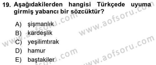 Türkçe Ses Bilgisi Dersi 2018 - 2019 Yılı (Vize) Ara Sınavı 19. Soru