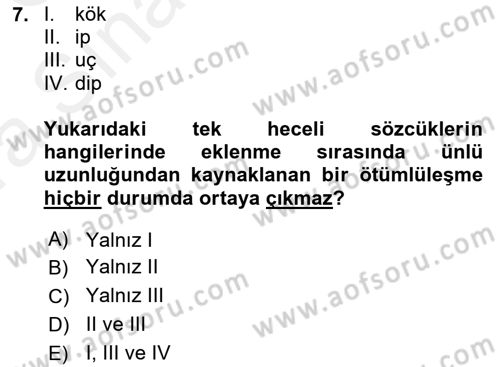 Türkçe Ses Bilgisi Dersi 2018 - 2019 Yılı (Vize) Ara Sınavı 7. Soru