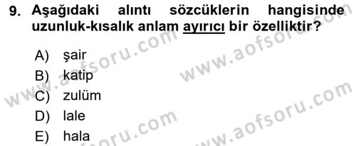 Türkçe Ses Bilgisi Dersi 2018 - 2019 Yılı (Vize) Ara Sınavı 9. Soru