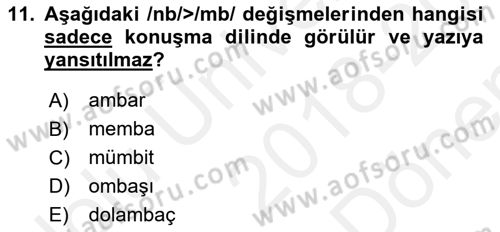 Türkçe Ses Bilgisi Dersi 2018 - 2019 Yılı (Final) Dönem Sonu Sınavı 11. Soru