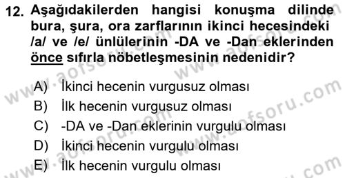 Türkçe Ses Bilgisi Dersi 2018 - 2019 Yılı (Final) Dönem Sonu Sınavı 12. Soru