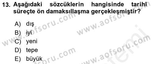 Türkçe Ses Bilgisi Dersi 2018 - 2019 Yılı (Final) Dönem Sonu Sınavı 13. Soru