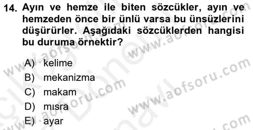 Türkçe Ses Bilgisi Dersi 2018 - 2019 Yılı (Final) Dönem Sonu Sınavı 14. Soru