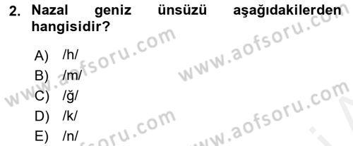 Türkçe Ses Bilgisi Dersi 2018 - 2019 Yılı (Final) Dönem Sonu Sınavı 2. Soru