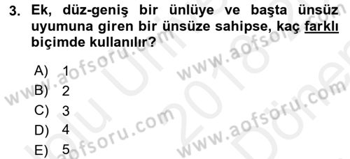 Türkçe Ses Bilgisi Dersi 2018 - 2019 Yılı (Final) Dönem Sonu Sınavı 3. Soru