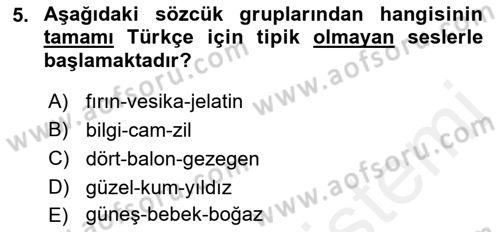 Türkçe Ses Bilgisi Dersi 2018 - 2019 Yılı (Final) Dönem Sonu Sınavı 5. Soru