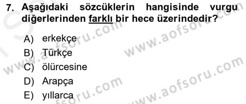 Türkçe Ses Bilgisi Dersi 2018 - 2019 Yılı (Final) Dönem Sonu Sınavı 7. Soru