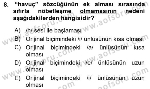 Türkçe Ses Bilgisi Dersi 2018 - 2019 Yılı (Final) Dönem Sonu Sınavı 8. Soru