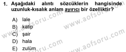 Türkçe Ses Bilgisi Dersi 2018 - 2019 Yılı Yaz Okulu Sınav Soruları 1. Soru