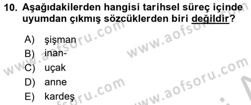 Türkçe Ses Bilgisi Dersi 2018 - 2019 Yılı Yaz Okulu Sınav Soruları 10. Soru