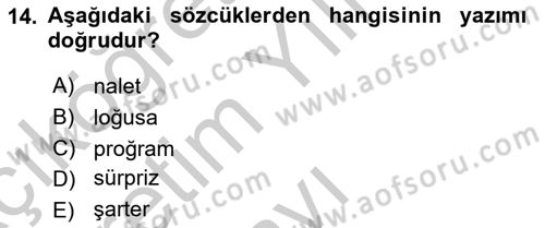 Türkçe Ses Bilgisi Dersi 2018 - 2019 Yılı Yaz Okulu Sınav Soruları 14. Soru