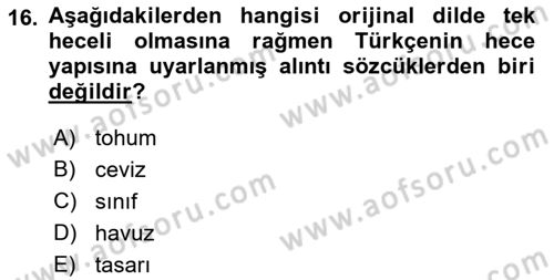 Türkçe Ses Bilgisi Dersi 2018 - 2019 Yılı Yaz Okulu Sınav Soruları 16. Soru