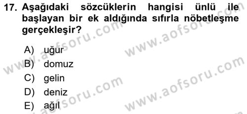 Türkçe Ses Bilgisi Dersi 2018 - 2019 Yılı Yaz Okulu Sınav Soruları 17. Soru