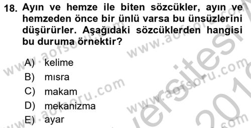 Türkçe Ses Bilgisi Dersi 2018 - 2019 Yılı Yaz Okulu Sınav Soruları 18. Soru