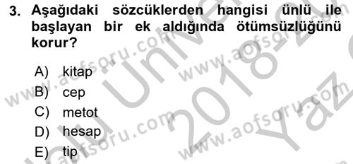 Türkçe Ses Bilgisi Dersi 2018 - 2019 Yılı Yaz Okulu Sınav Soruları 3. Soru