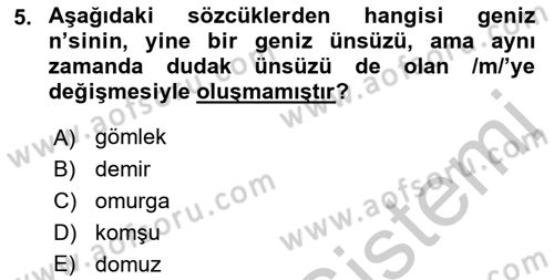 Türkçe Ses Bilgisi Dersi 2018 - 2019 Yılı Yaz Okulu Sınav Soruları 5. Soru