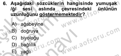 Türkçe Ses Bilgisi Dersi 2018 - 2019 Yılı Yaz Okulu Sınav Soruları 6. Soru