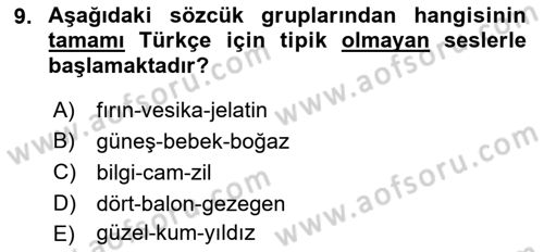 Türkçe Ses Bilgisi Dersi 2018 - 2019 Yılı Yaz Okulu Sınav Soruları 9. Soru