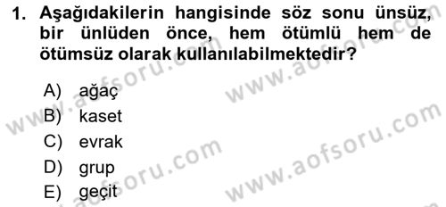 Türkçe Ses Bilgisi Dersi 2019 - 2020 Yılı (Vize) Ara Sınavı 1. Soru