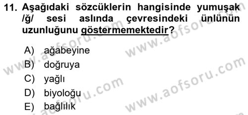 Türkçe Ses Bilgisi Dersi 2019 - 2020 Yılı (Vize) Ara Sınavı 11. Soru