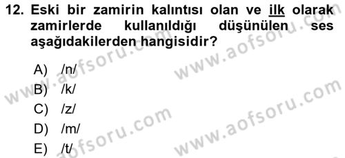 Türkçe Ses Bilgisi Dersi 2019 - 2020 Yılı (Vize) Ara Sınavı 12. Soru