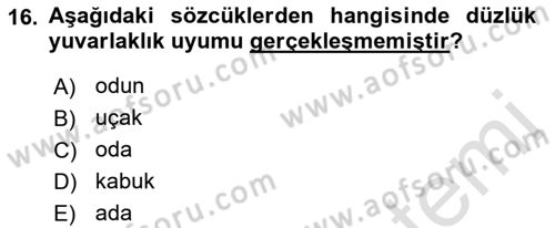 Türkçe Ses Bilgisi Dersi 2019 - 2020 Yılı (Vize) Ara Sınavı 16. Soru