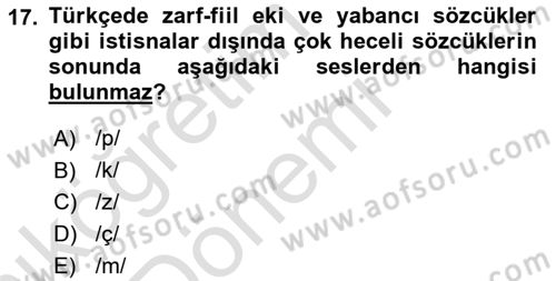 Türkçe Ses Bilgisi Dersi 2019 - 2020 Yılı (Vize) Ara Sınavı 17. Soru