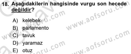 Türkçe Ses Bilgisi Dersi 2019 - 2020 Yılı (Vize) Ara Sınavı 18. Soru