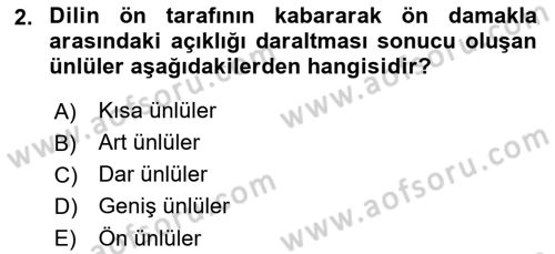 Türkçe Ses Bilgisi Dersi 2019 - 2020 Yılı (Vize) Ara Sınavı 2. Soru