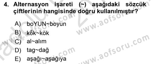 Türkçe Ses Bilgisi Dersi 2019 - 2020 Yılı (Vize) Ara Sınavı 4. Soru