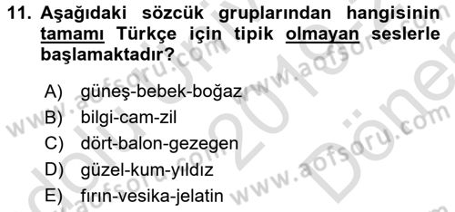 Türkçe Ses Bilgisi Dersi 2019 - 2020 Yılı (Final) Dönem Sonu Sınavı 11. Soru