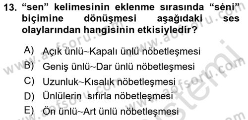 Türkçe Ses Bilgisi Dersi 2019 - 2020 Yılı (Final) Dönem Sonu Sınavı 13. Soru