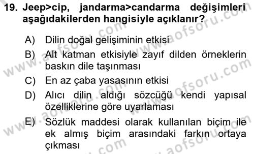 Türkçe Ses Bilgisi Dersi 2019 - 2020 Yılı (Final) Dönem Sonu Sınavı 19. Soru