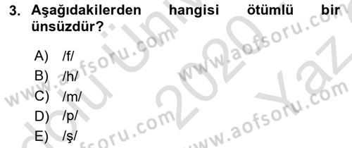 Türkçe Ses Bilgisi Dersi 2020 - 2021 Yılı Yaz Okulu Sınav Soruları 3. Soru