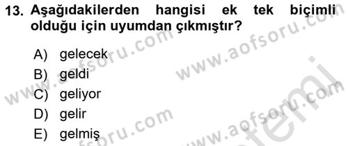 Türkçe Ses Bilgisi Dersi 2021 - 2022 Yılı (Vize) Ara Sınav Soruları 13. Soru
