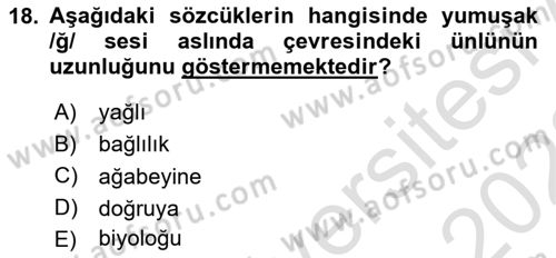 Türkçe Ses Bilgisi Dersi 2021 - 2022 Yılı (Vize) Ara Sınav Soruları 18. Soru