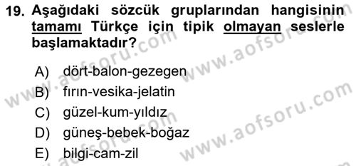 Türkçe Ses Bilgisi Dersi 2021 - 2022 Yılı (Vize) Ara Sınav Soruları 19. Soru