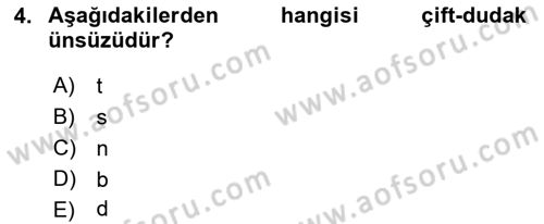 Türkçe Ses Bilgisi Dersi Ara Sınavı Deneme Sınav Soruları 4. Soru