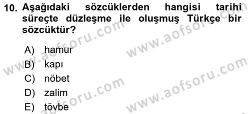 Türkçe Ses Bilgisi Dersi 2021 - 2022 Yılı (Final) Dönem Sonu Sınavı 10. Soru