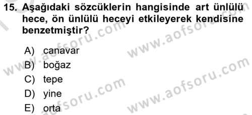 Türkçe Ses Bilgisi Dersi 2021 - 2022 Yılı (Final) Dönem Sonu Sınavı 15. Soru