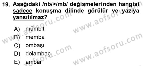 Türkçe Ses Bilgisi Dersi 2021 - 2022 Yılı (Final) Dönem Sonu Sınavı 19. Soru